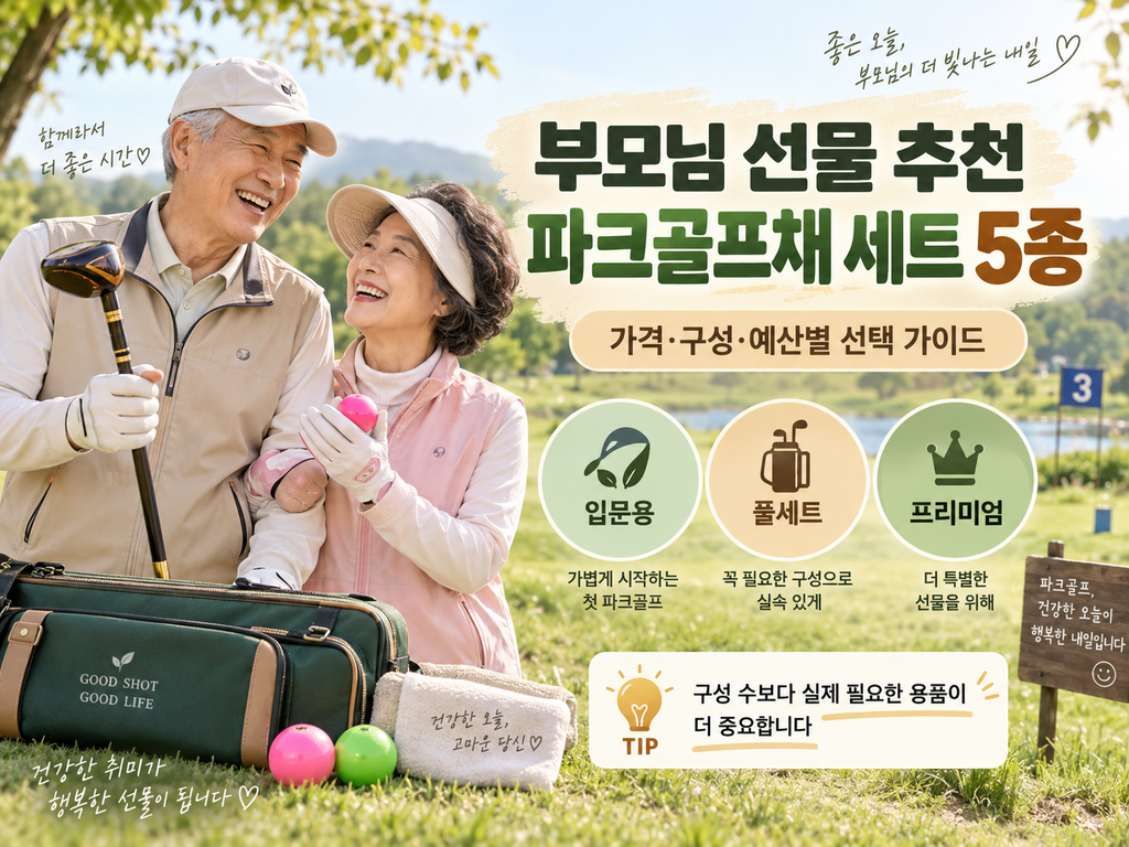 부모님 선물 추천 파크골프채 세트 5종 비교, 가격·구성·예산별 선택 가이드