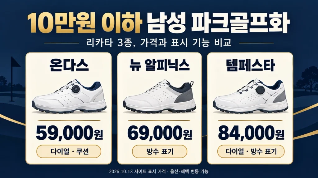 10만원 이하 남성 파크골프화 3종 비교, 리카타 온다스·뉴 알피닉스·템페스타 선택법